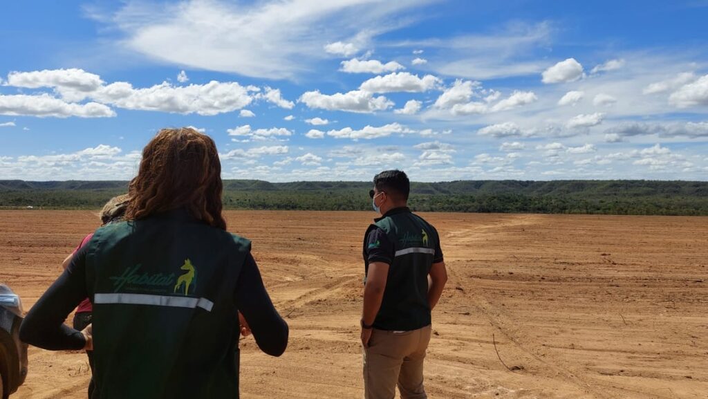 Duas pessoas em campo aberto em uma área do agronegócio