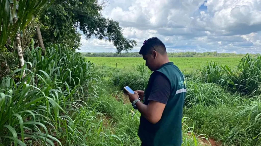 Homem enviando informações pelo celular no meio de vegetação da APP - Área de Proteção Permanente.