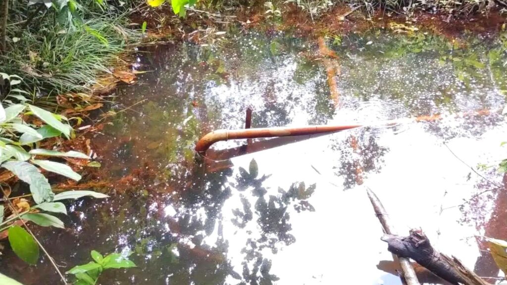 Vista superior de Área de Preservação Permanente, ao centro a nascente de rio com cano realizando a coleta de água para o consumo, ao redor dele se encontra a vegetação local.