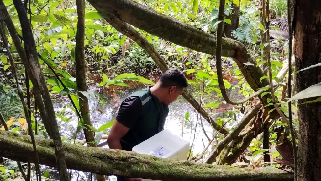 Engenheiro Ambiental carregando amostras coletadas do rio em caixa de isopor no meio da vegetação.