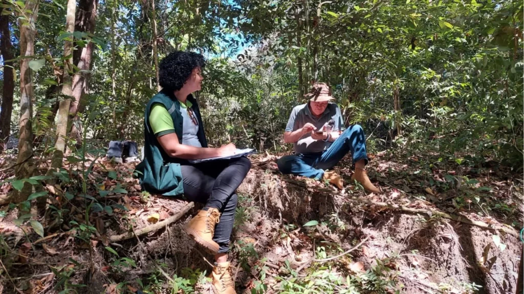 Uma mulher e um homem sentados no meio da flora local conversando sobre o processo de licenciamento.