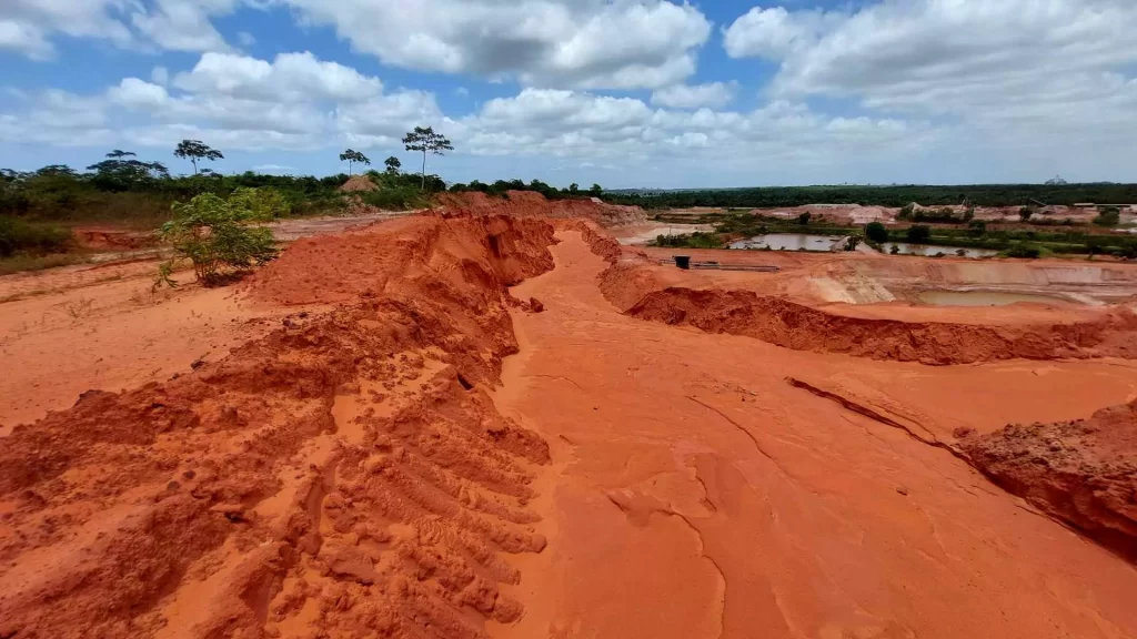 Vista horizontal para mineradora com solo na coloração laranja avermelhada e ao fundo fauna local.